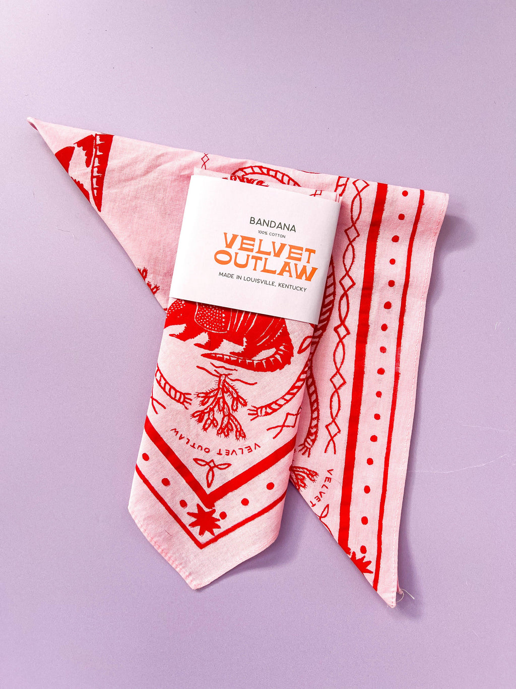 Triangle Armadillo Bandanas