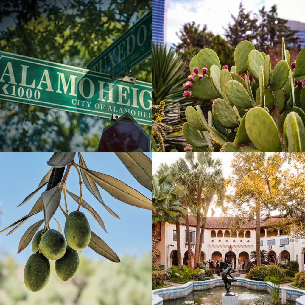 Alamo Heights