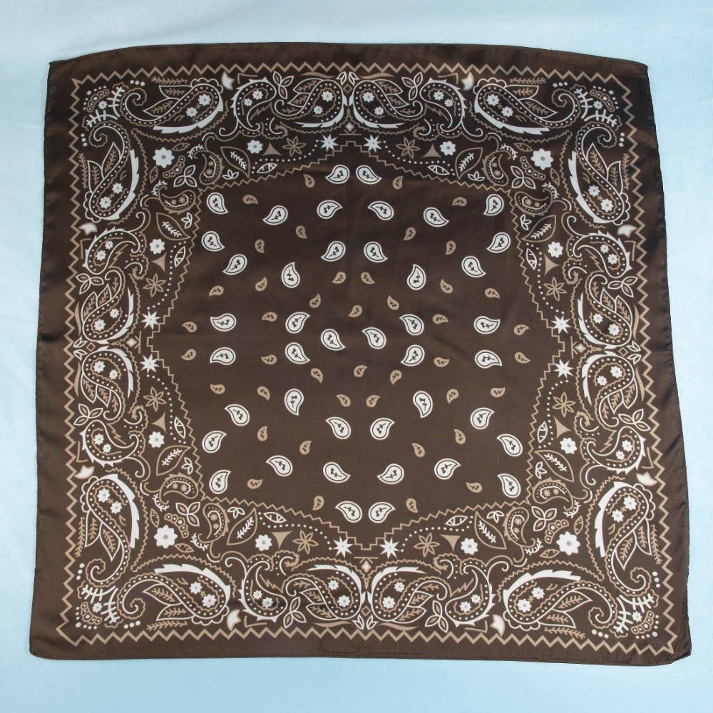 Red Paisley Satin Bandana Scarf